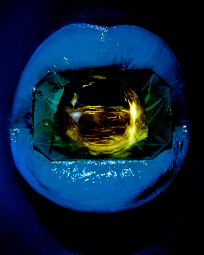 Swarovski x IB Kamara 10 copy 9