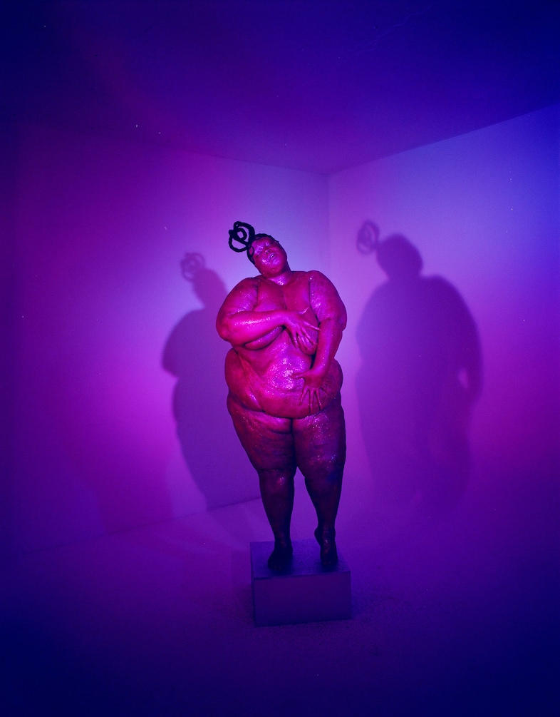 Exhibit social media censorship of fat bodies series 10