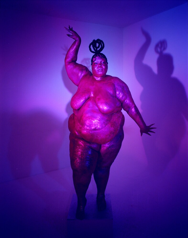 Exhibit social media censorship of fat bodies series 14