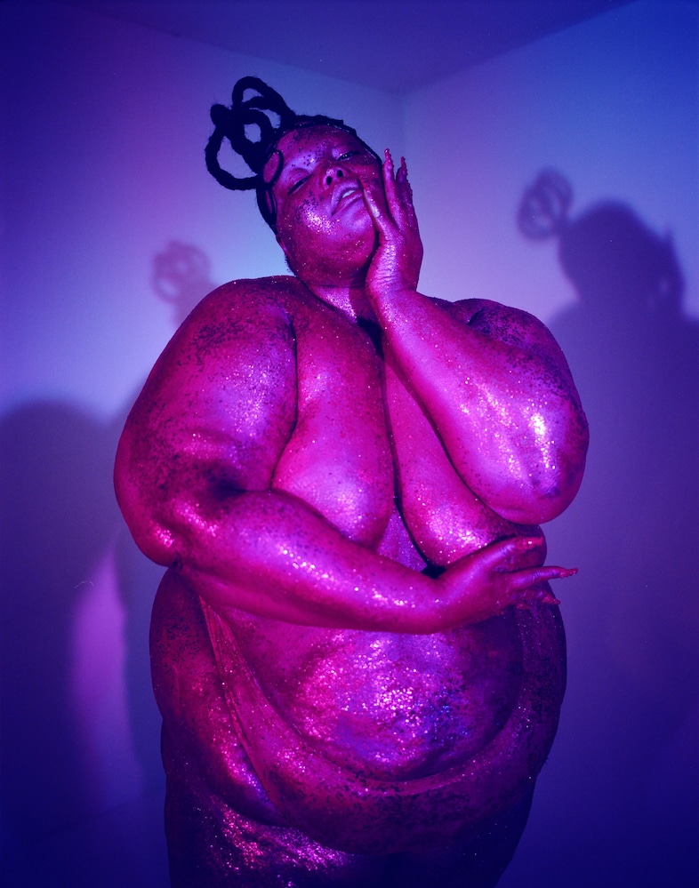 Exhibit social media censorship of fat bodies series 15