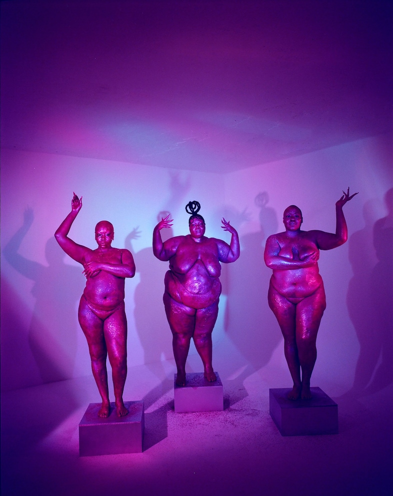 Exhibit social media censorship of fat bodies series