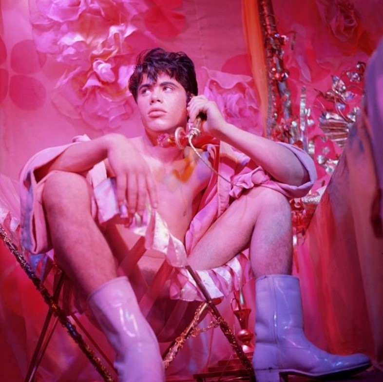 Pink Narcissus film James Bidgood