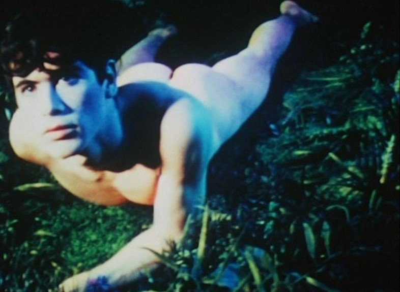 Pink Narcissus film James Bidgood