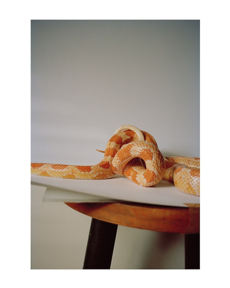 Atom erotic photo book by Ekaterina Bazhenova-Yamasaki 3