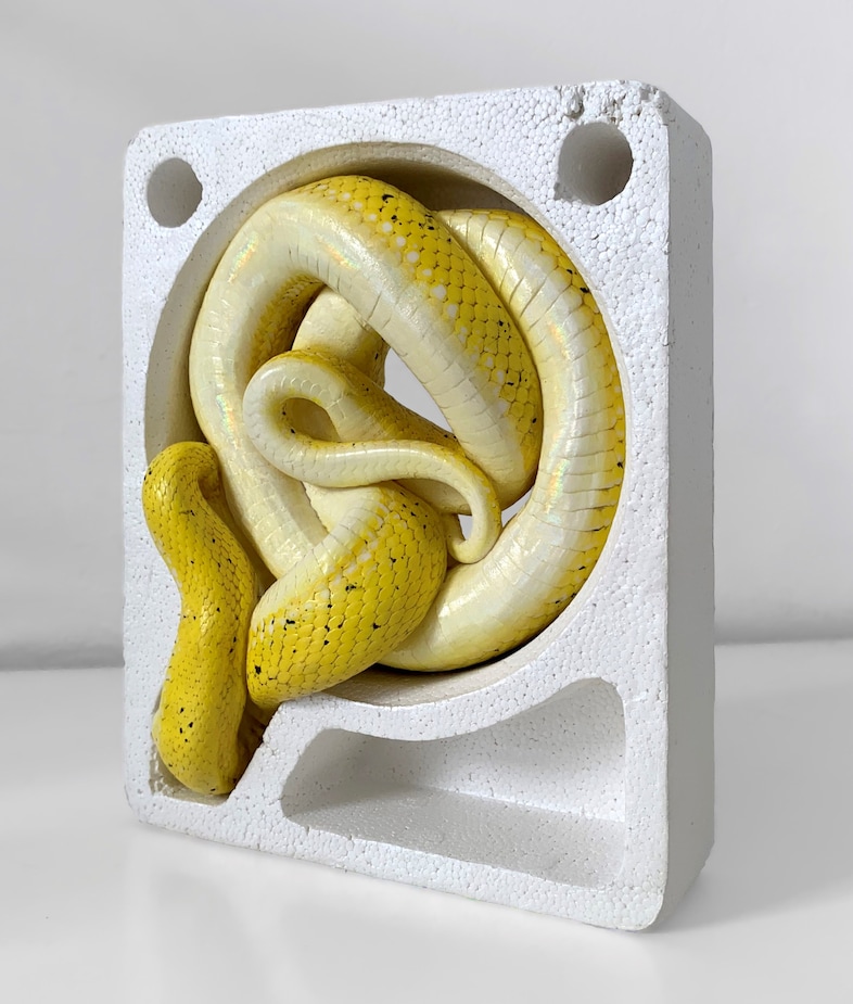 Polly Morgan, “Unite in a Common Goal’ 2