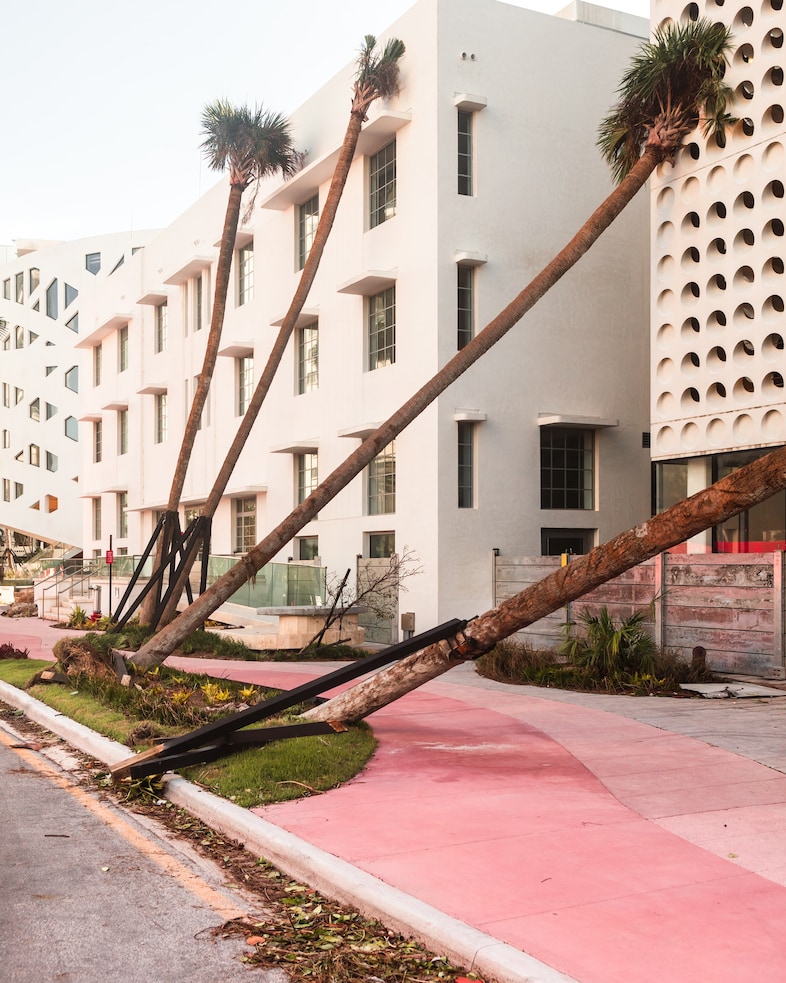 Deutsche B&#246;rse Photography Foundation Prize 2022 3