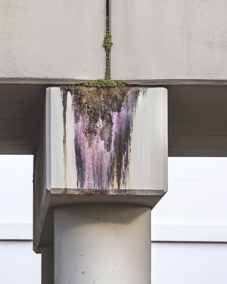 Deutsche B&#246;rse Photography Foundation Prize 2022 8