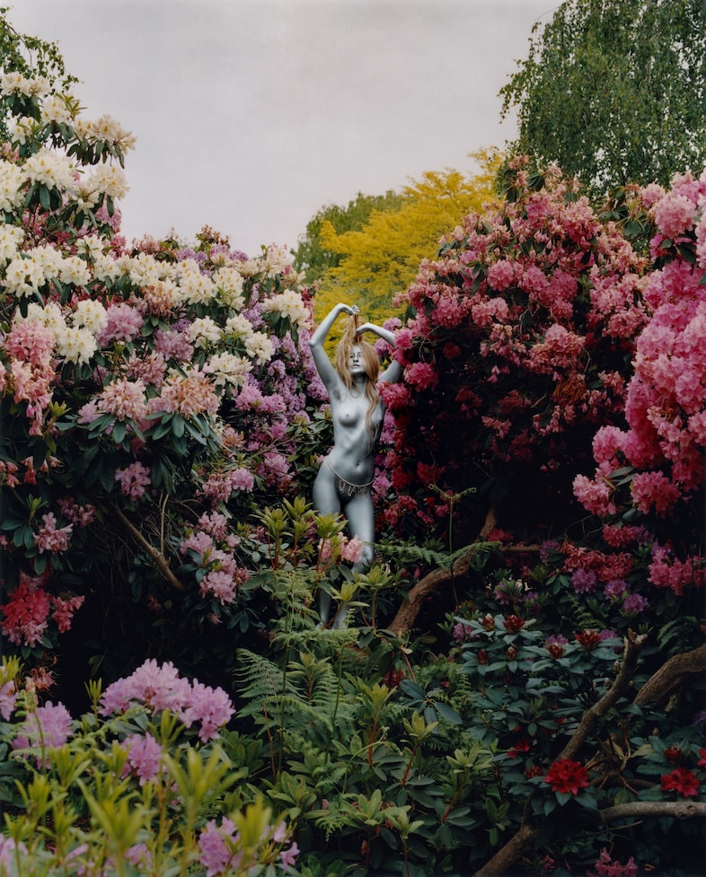 Steph Wilson, Self 8