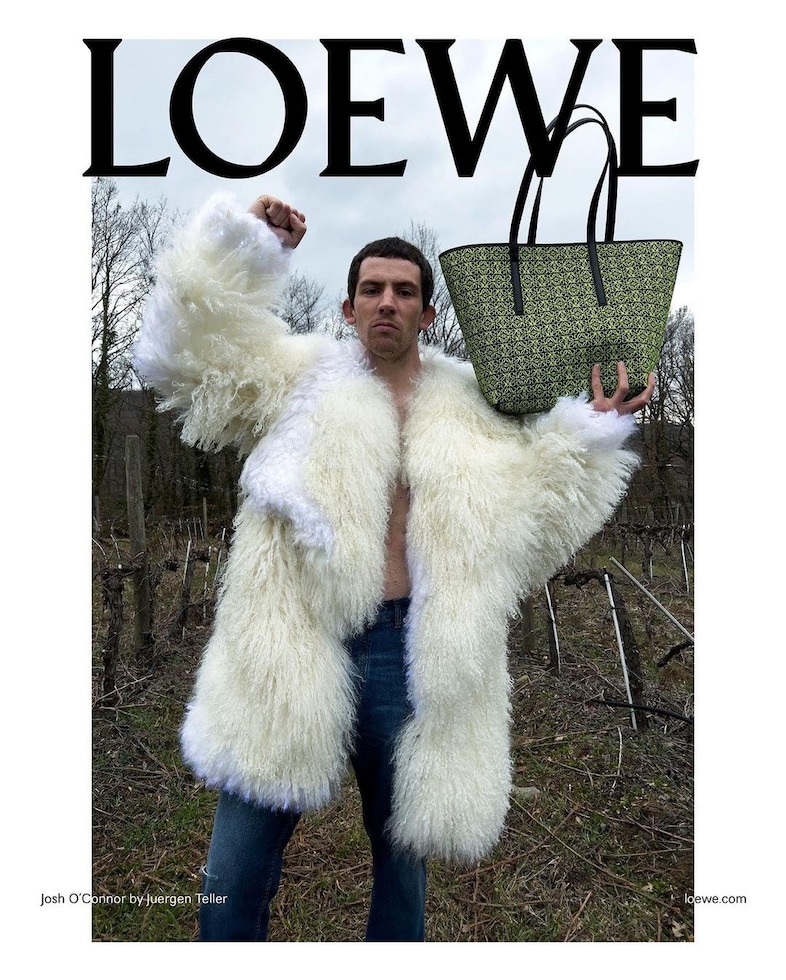 Loewe AW22 0