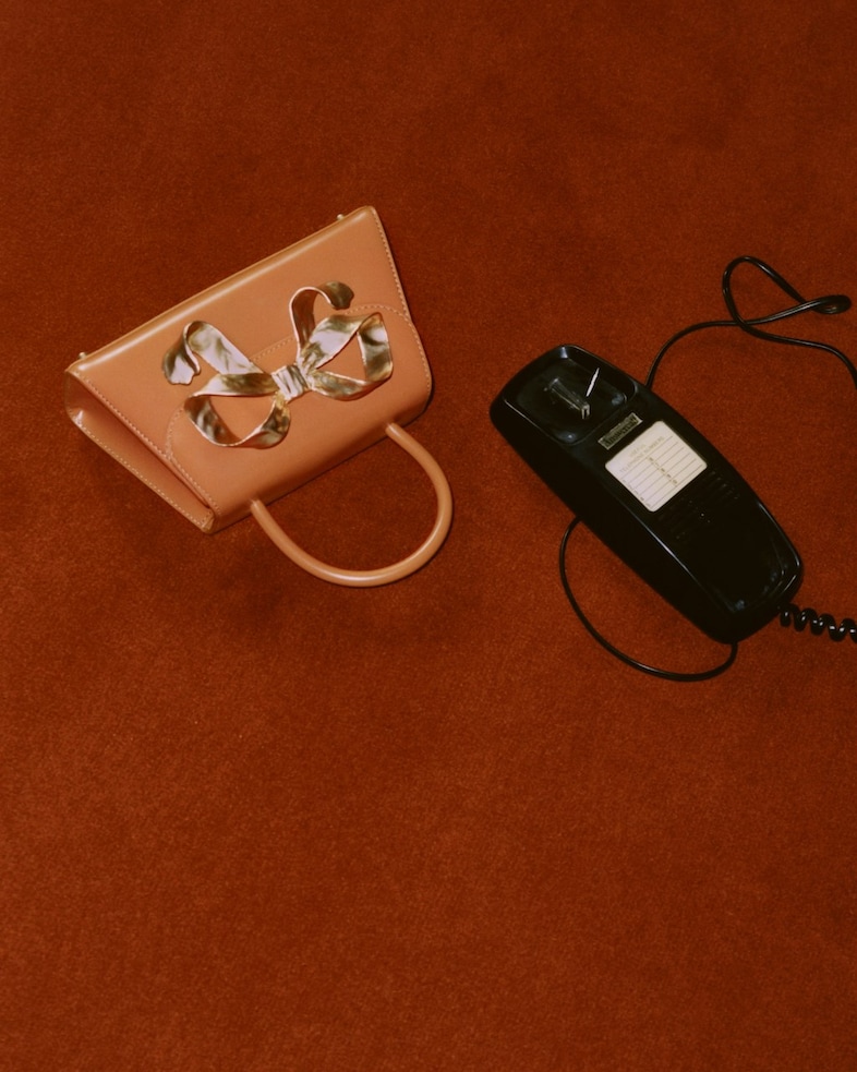 Sef-Portrait Bow Bag 9