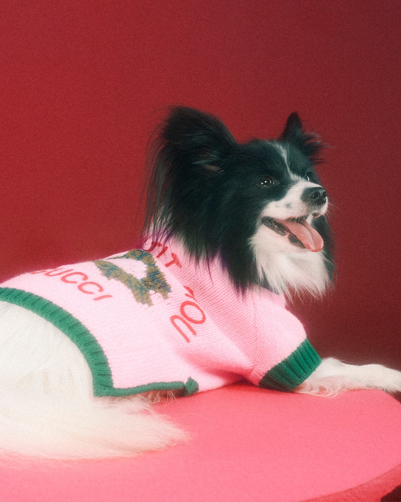 The Gucci Pet Collection 21