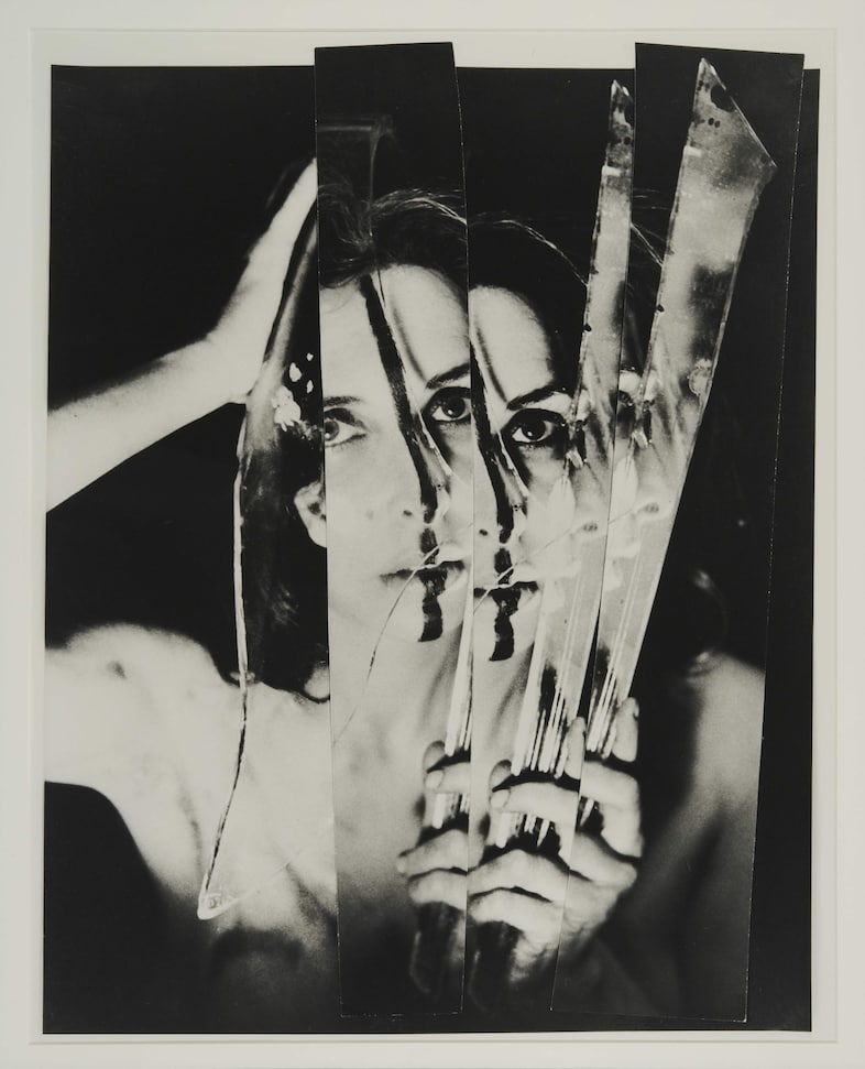 Carolee Schneemann, ”Eye Body: 36 Transformative Actions...”