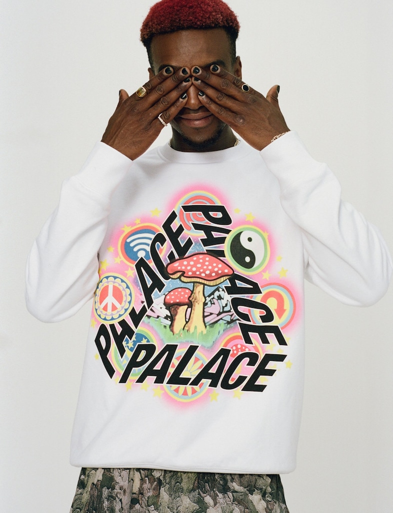 Palace AW22 5