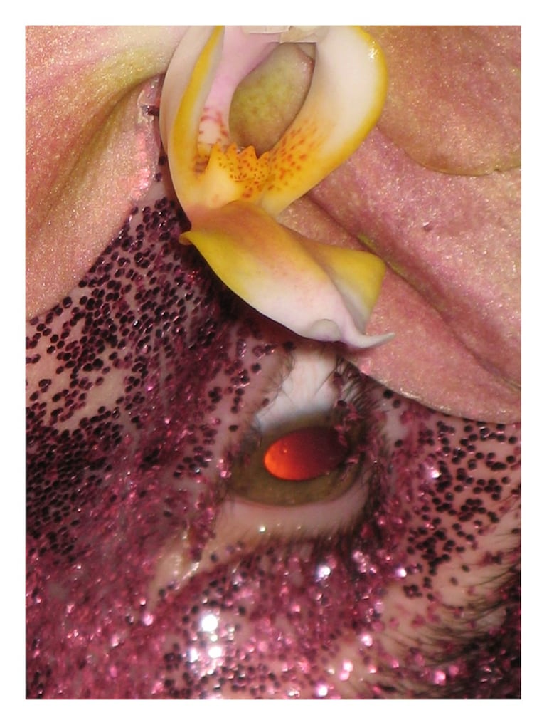 Harley Weir Beauty Papers 15