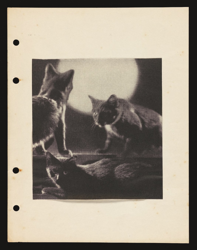 Ithell Colquhoun, Unbound booklet titled ‘Bonsoir’ (1939) 6