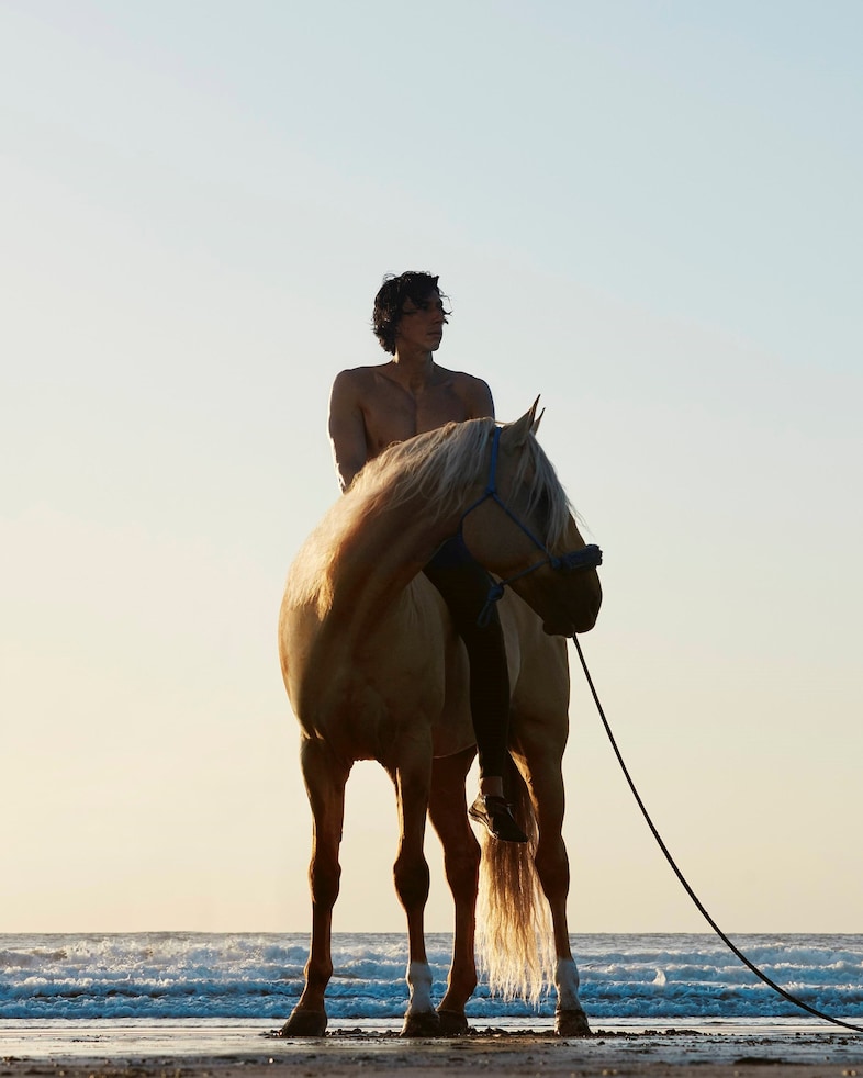 adam driver burberry hero 7