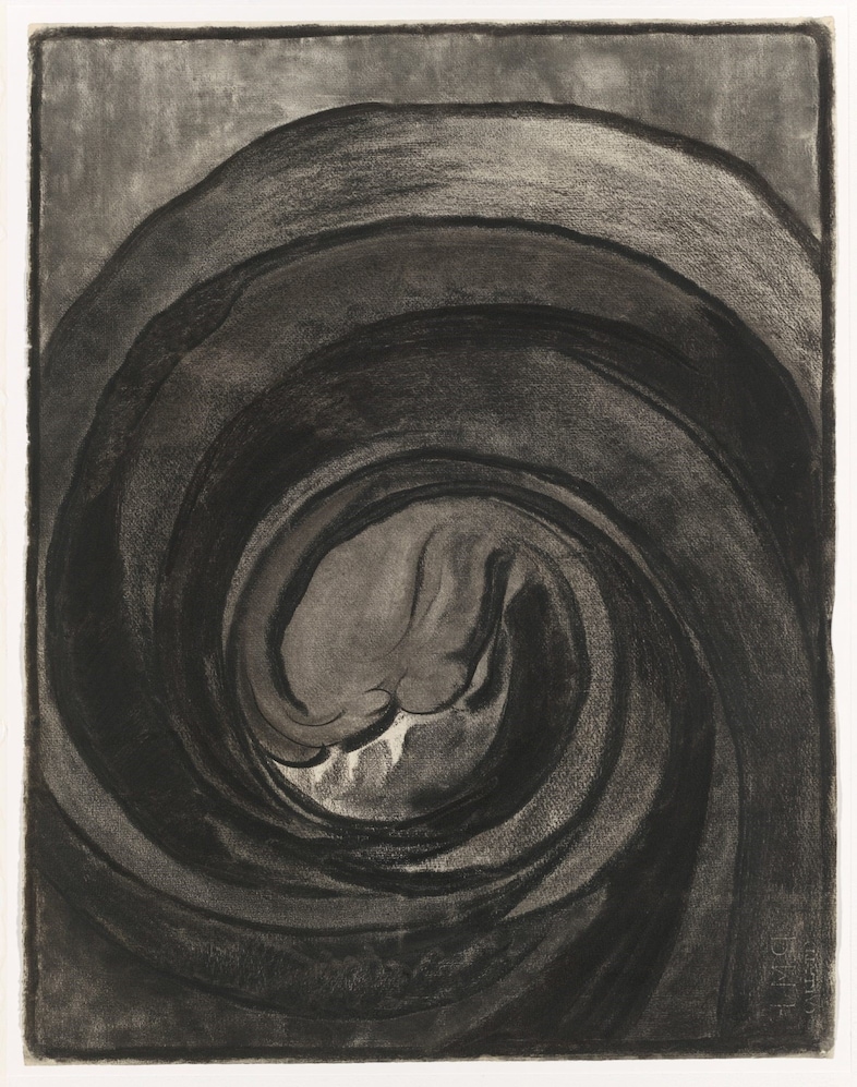 Georgia O’Keeffe, “No. 8 – Special (Drawing No. 8)” (1916) 5