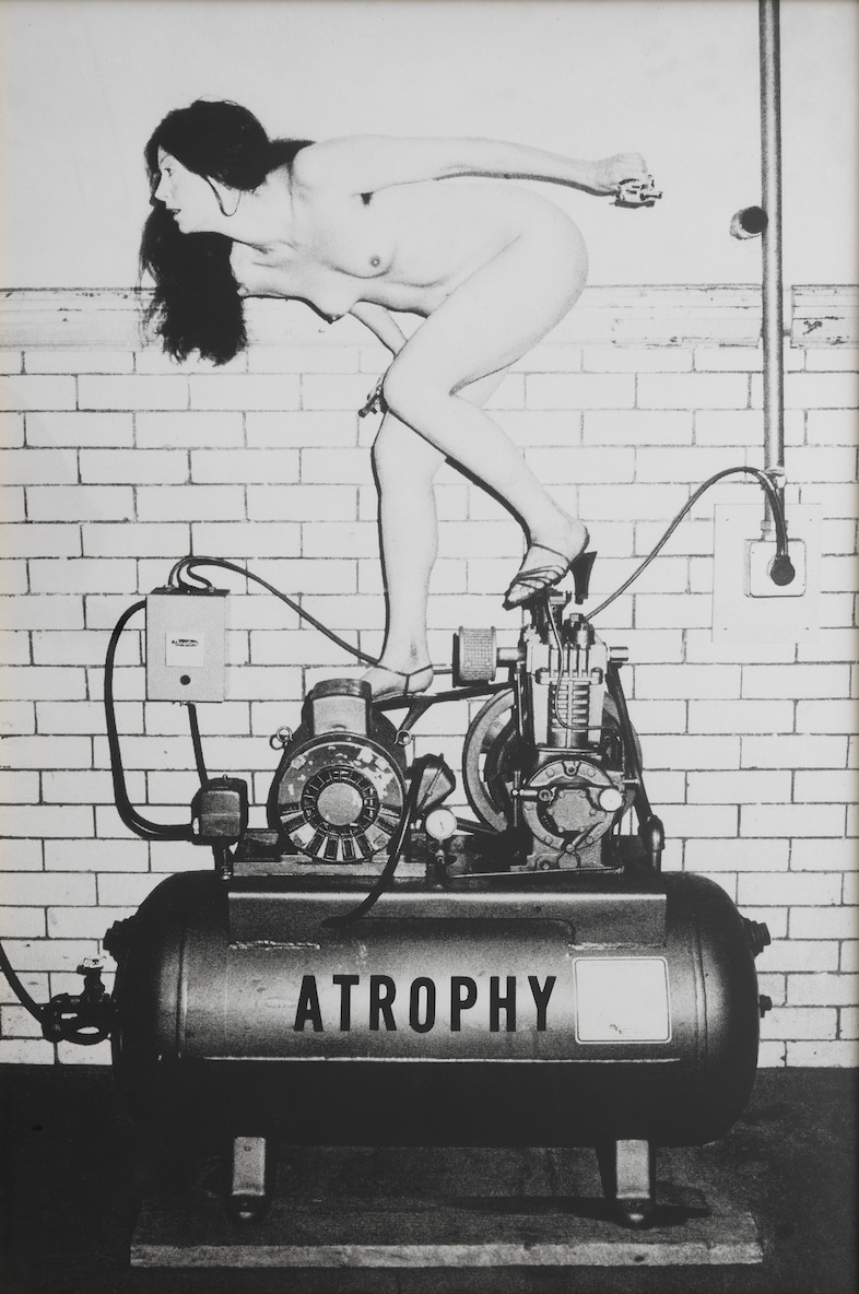 Hannah Wilke, “Atrophy” (1978-1984)