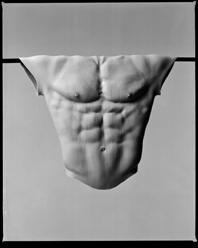 Torso 4