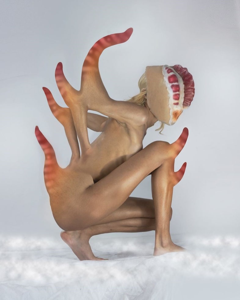 anthromorph 12