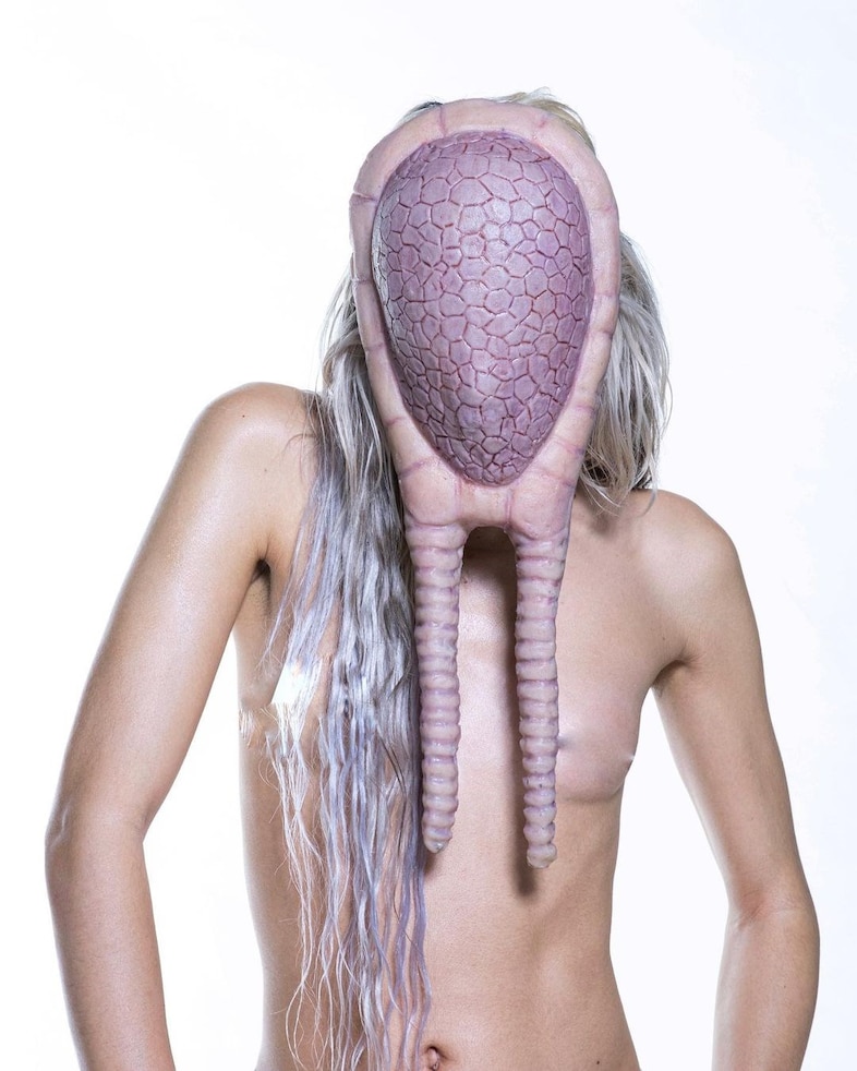 anthromorph 13