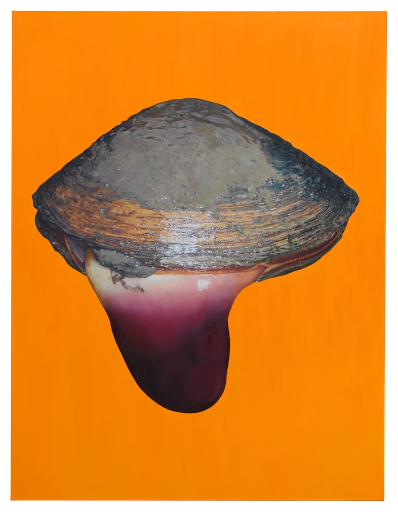 Fawn Rogers, “Happy As A Clam #1” (2021)