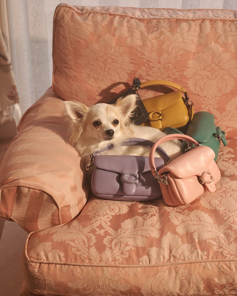 23.03.06_Polyester_SH01_087 10