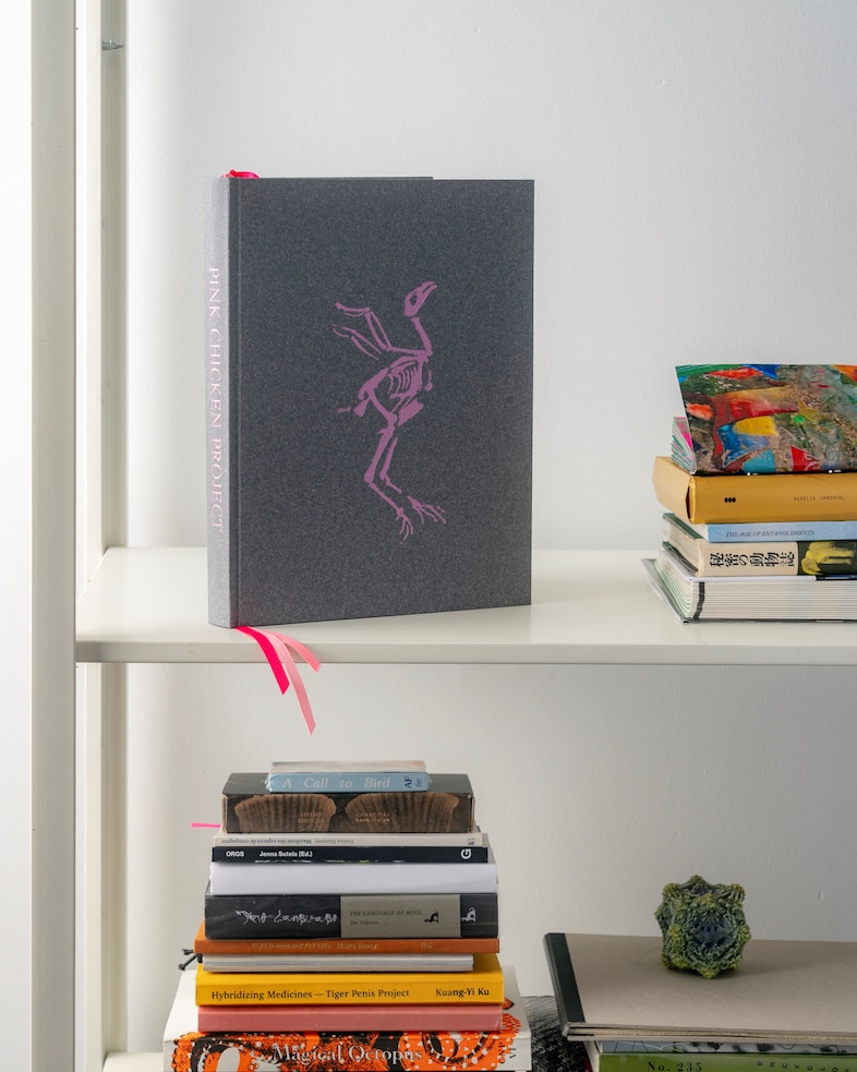 Pink Chicken Project (2021), Nonhuman Nonsense 13