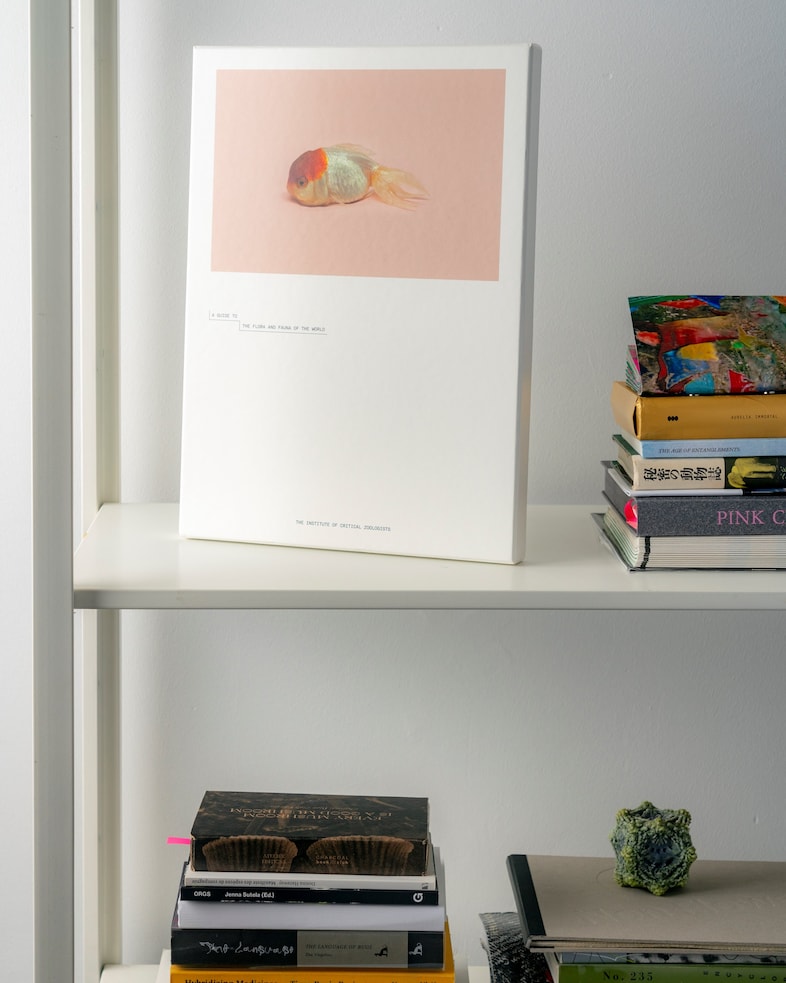 A Guide to the Flora and Fauna of the World (2018), The Inst 15