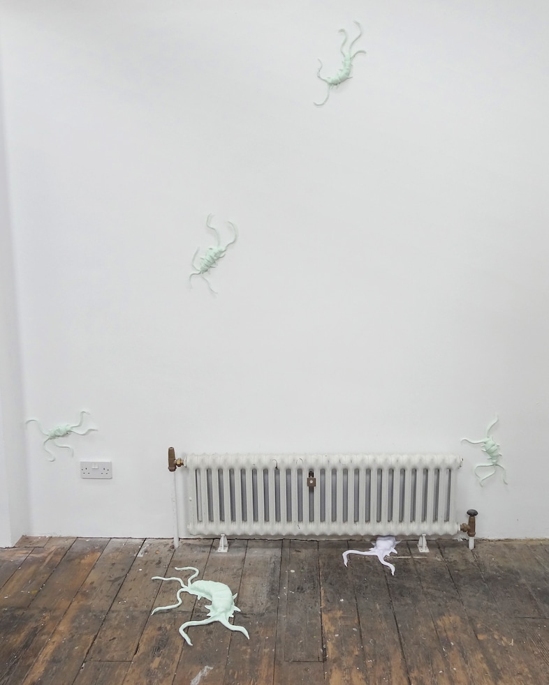 Chlo&#235; Louise Lawrence, ‘Subtle symptoms of disrepair’ (2023) 8