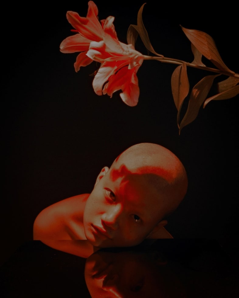 Marcin T. Jozefiak, Fearless Flowers 22