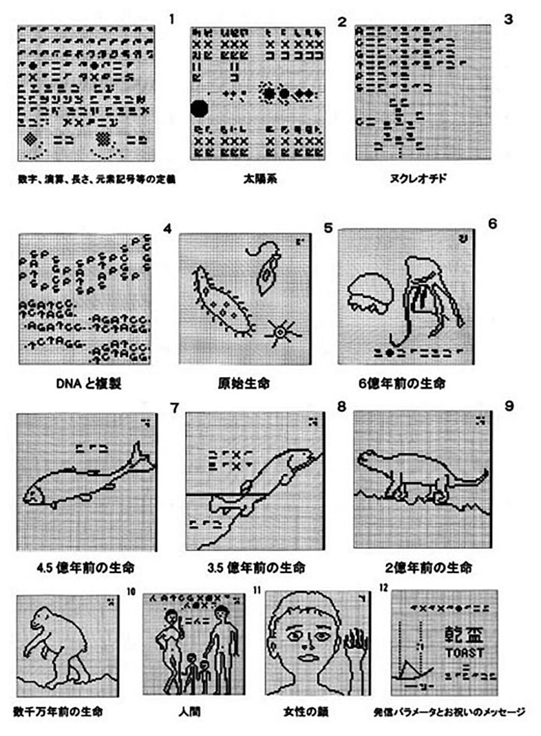 Drawings contained in the message to Altair