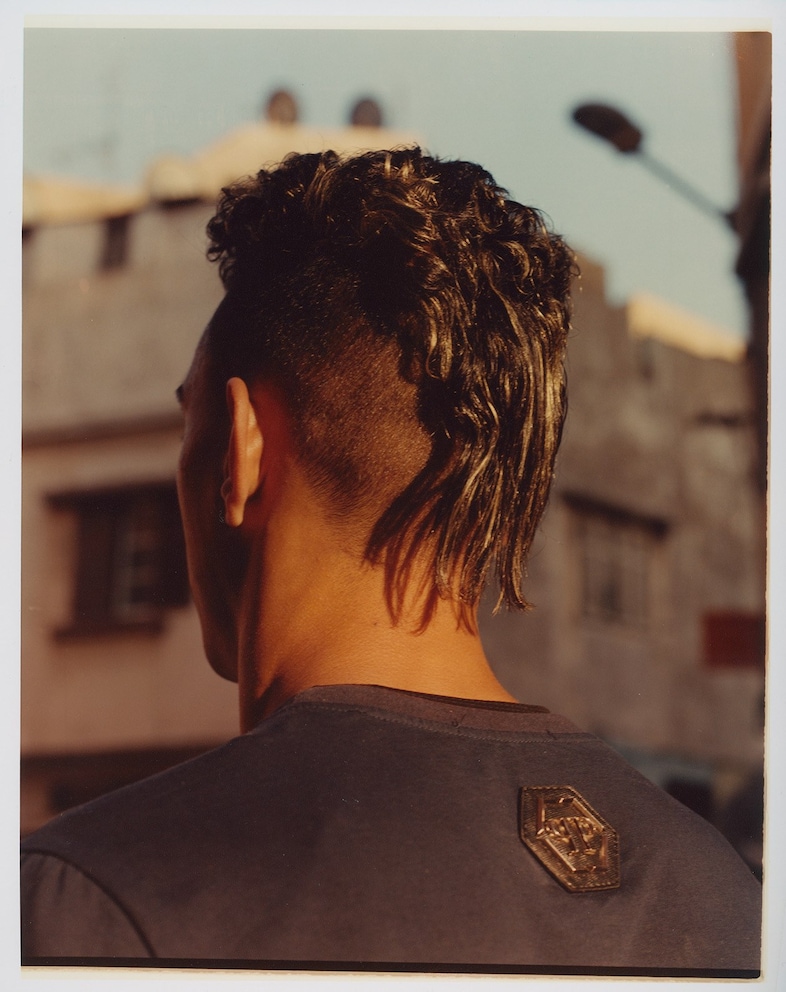 Hanane El Ouardani - unpeeled sunflower seeds, Cas 7
