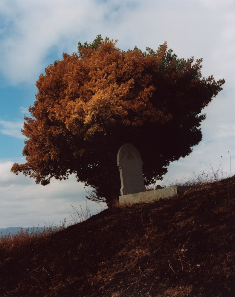Chris Hoare, Seven Hills, 2023 12
