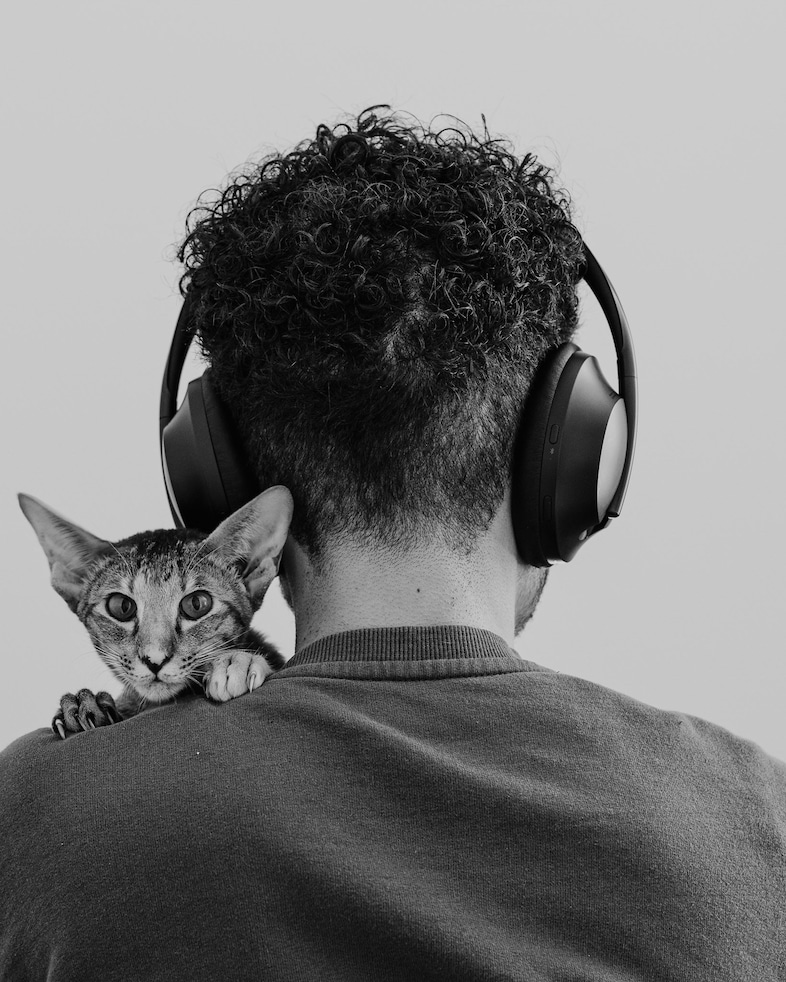 Marvel Harris, Cat on Shoulder of Human With Headphones 4
