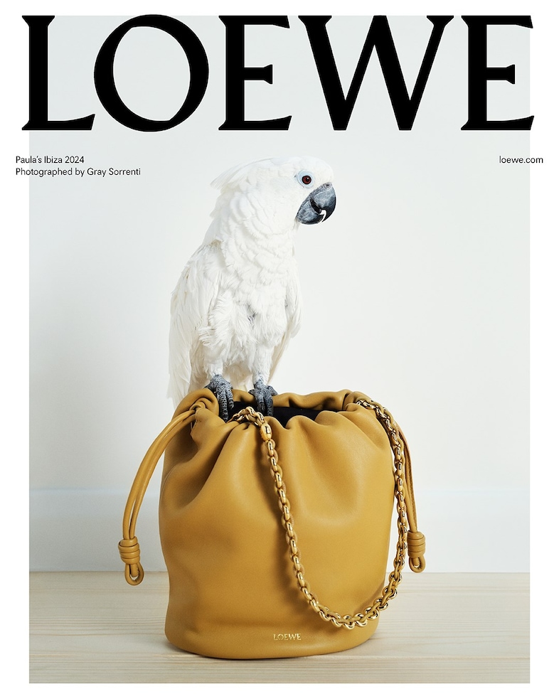 Loewe Paula’s Ibiza Photography Gray Sorrenti 1