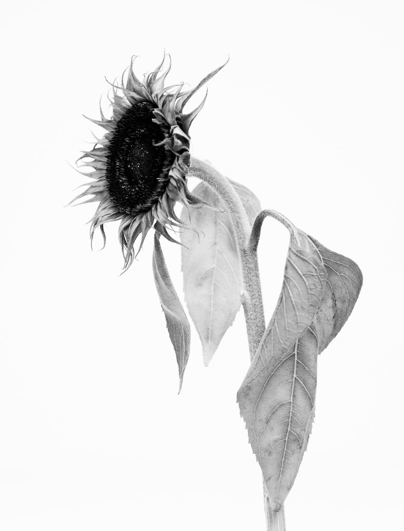 Willy Vanderperre&#39;s prints, films, a rave and more (2024) 16