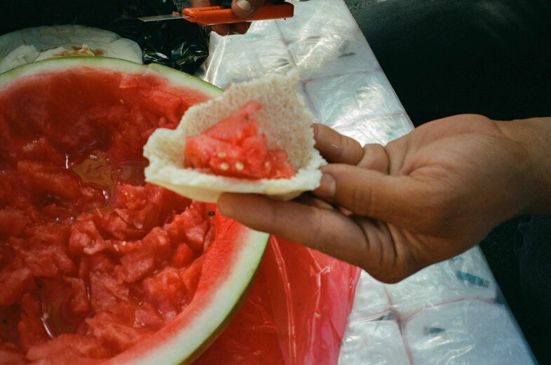 Adam Rouhana, Before Freedom 0