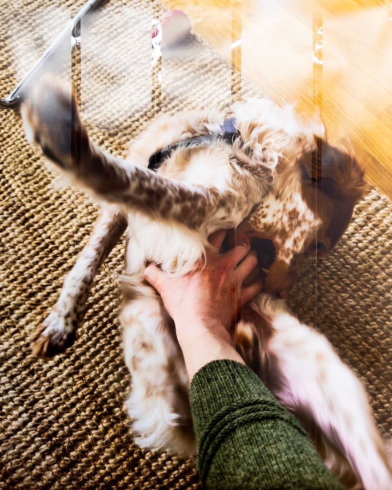 Camera Roll Orgy (2024) 1