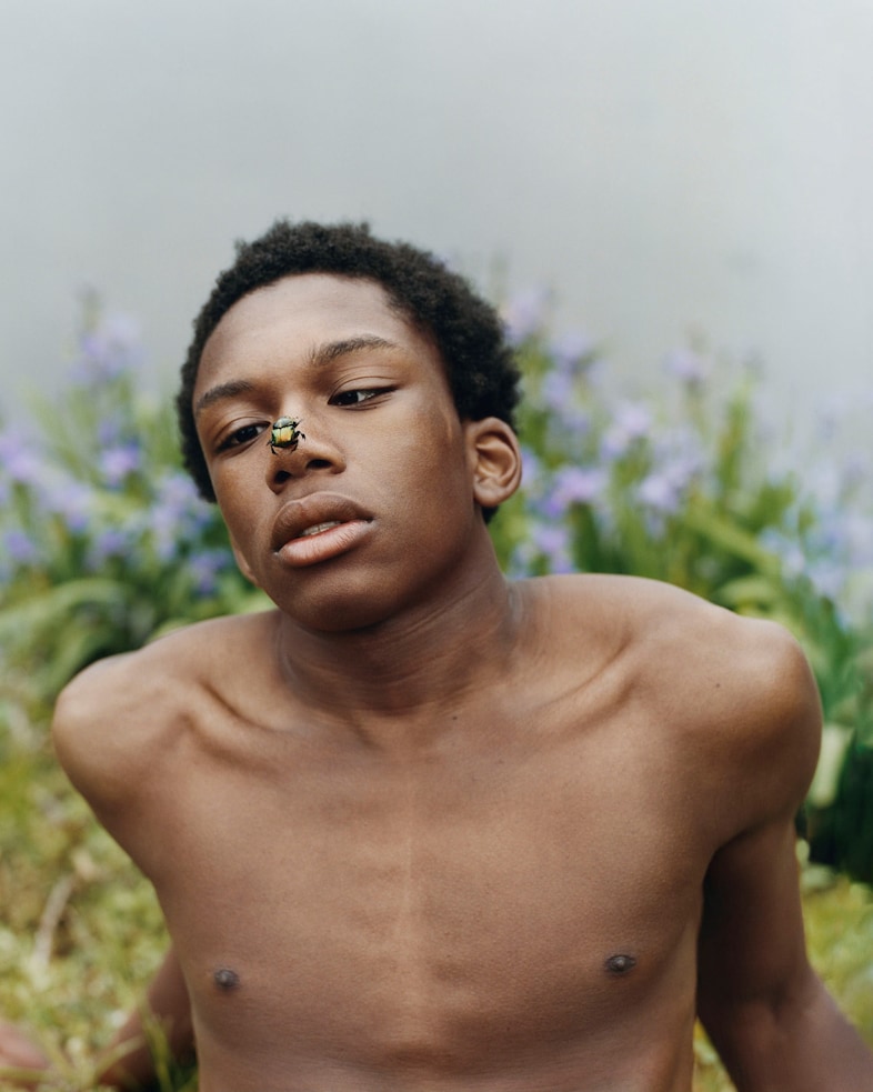 Tyler Mitchell, Simply Fragile (2022) 2