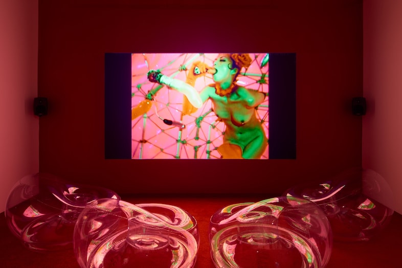 Shu Lea Cheang: Scifi New Queer Cinema 1994-2023