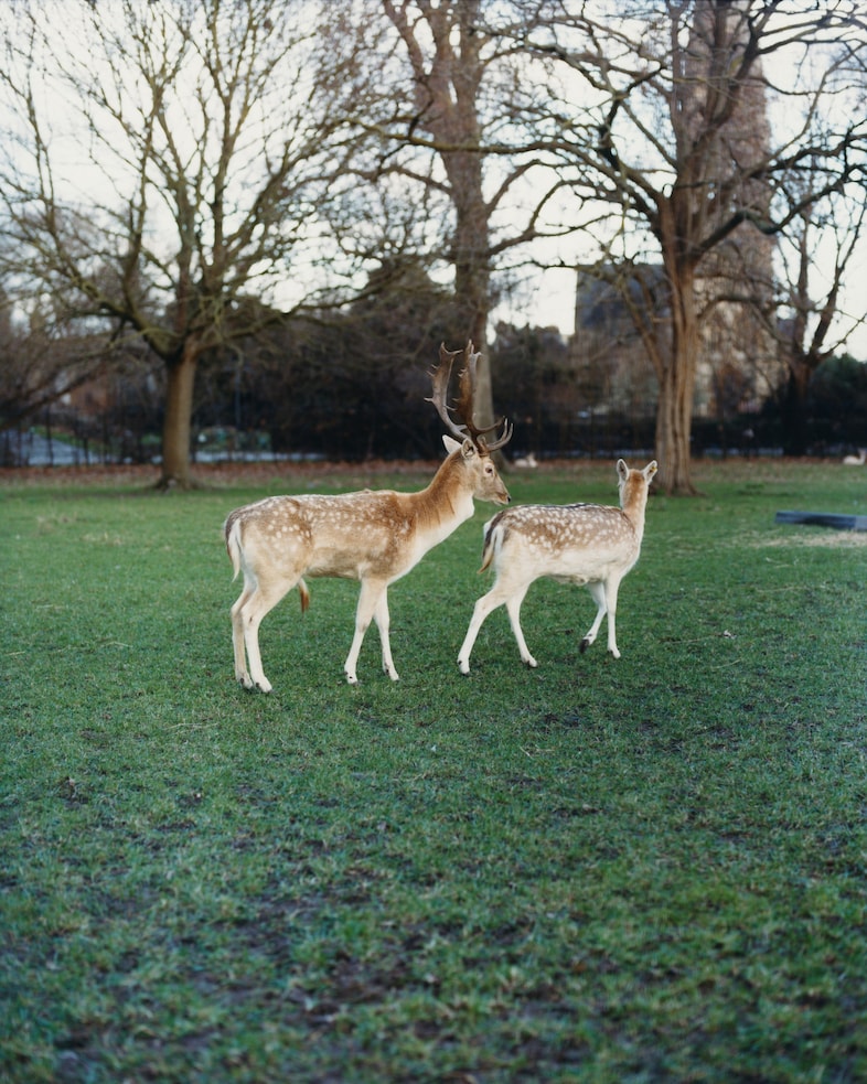 Photography Sirui Ma 6