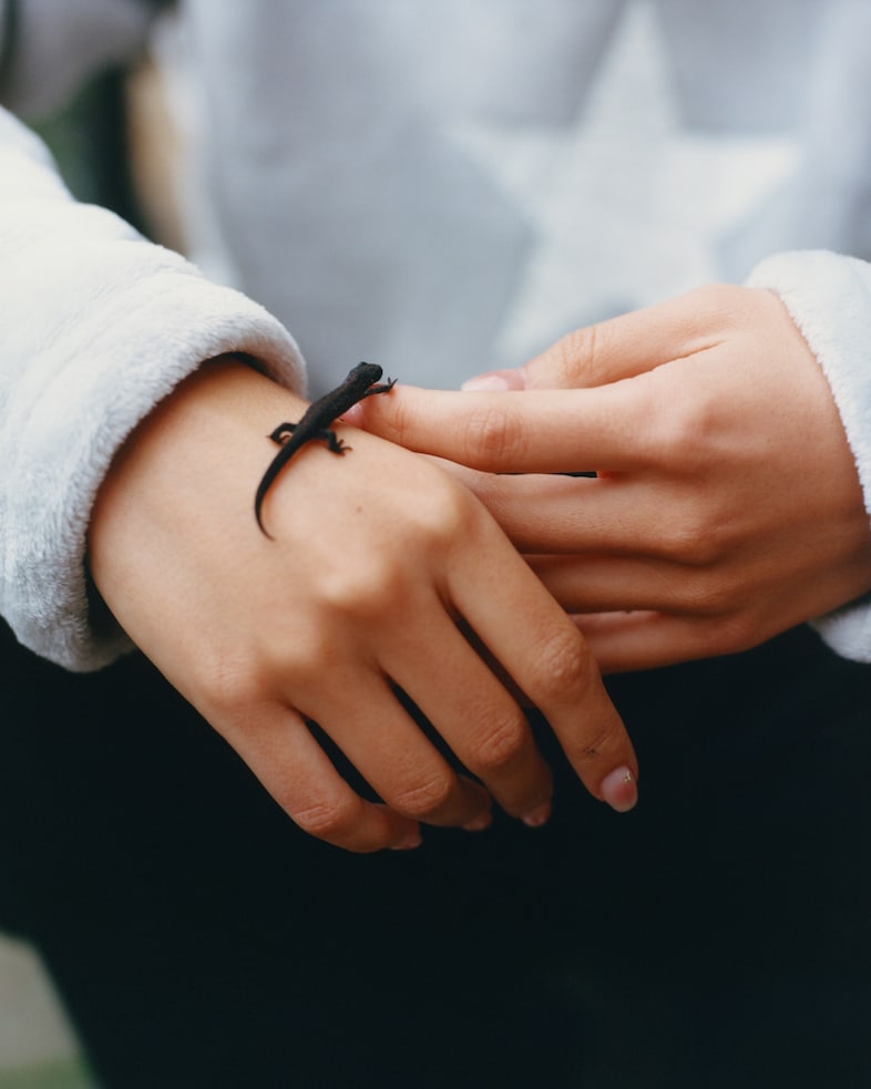 Photography Sirui Ma 12