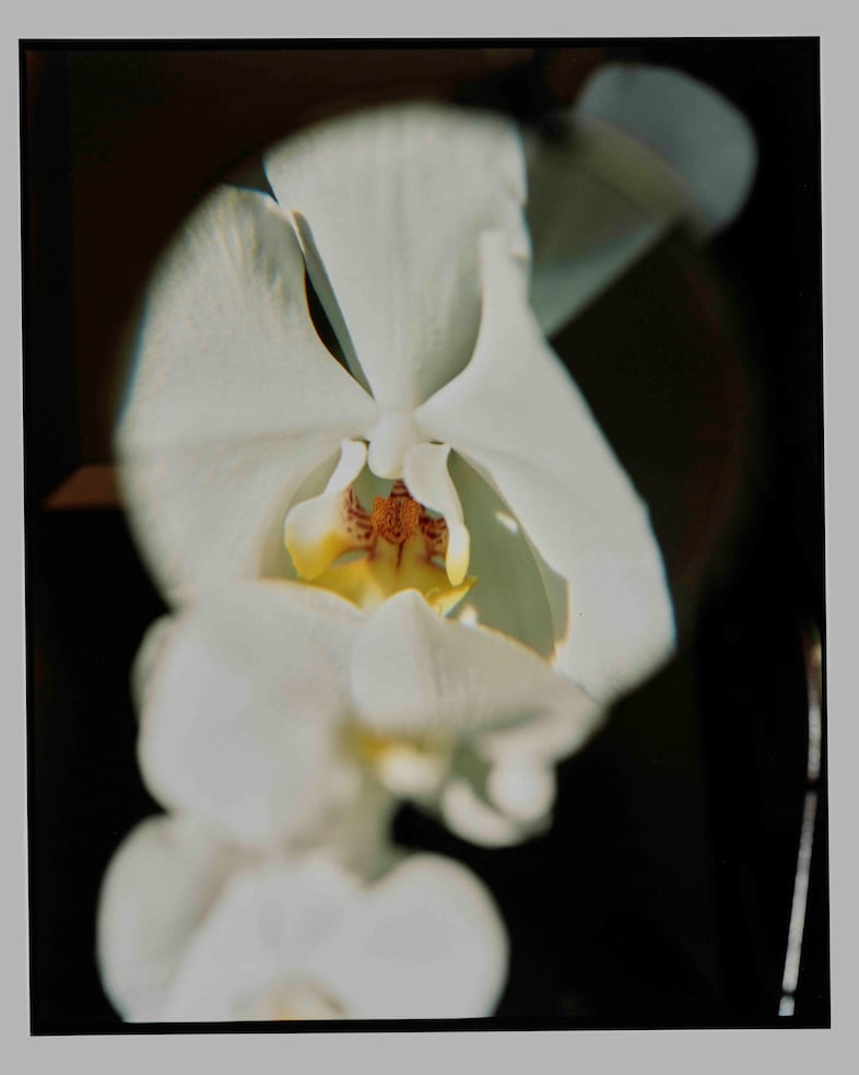 Niijournal Issue 4: Pride? Campbell Addy Ghana LGBTQ 4