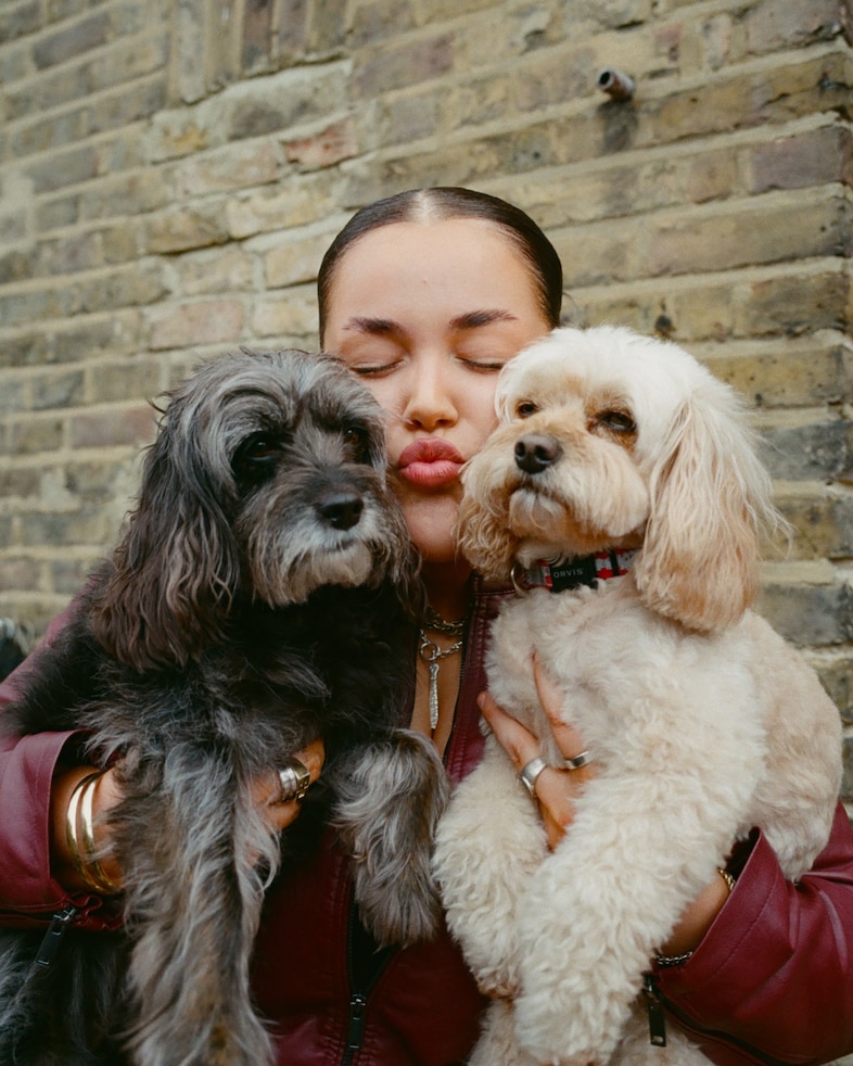Dogs and their Dykes 12