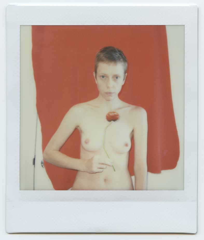 Marie Tomanova, Lost and Found (2024) 28