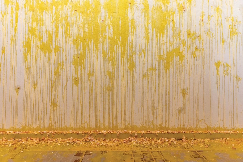 Sarah Lucas, 1000 Eggs: For Women, Red Brick Art Museum