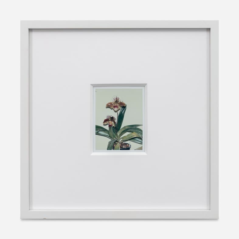 Marco Capaldo Cork Street Frieze show