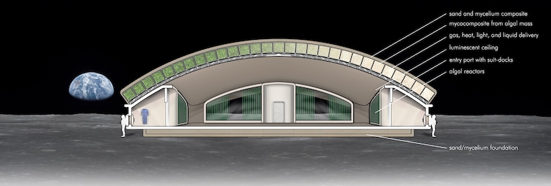 How a mycelium Moon base might work