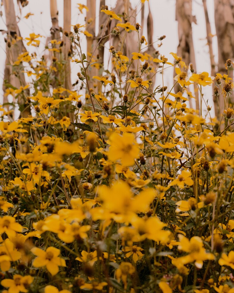 Juan Brenner photographer Genesis Guatemala 22